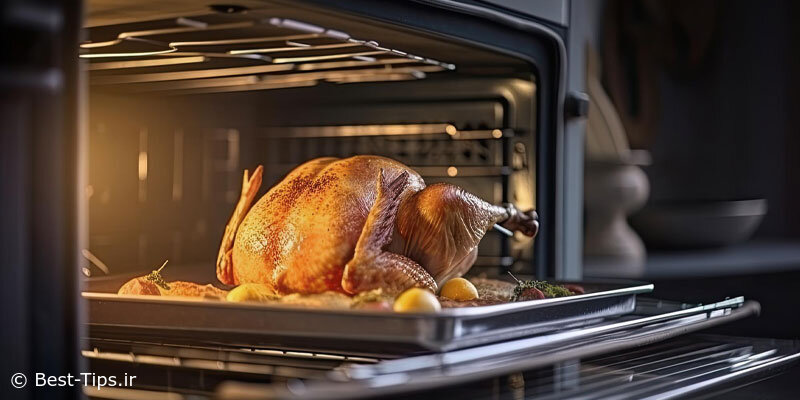 مایکروفر گریل